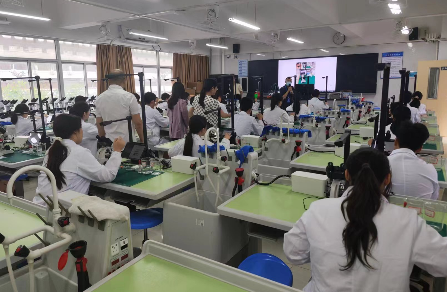 深圳市罗湖区外国语学校