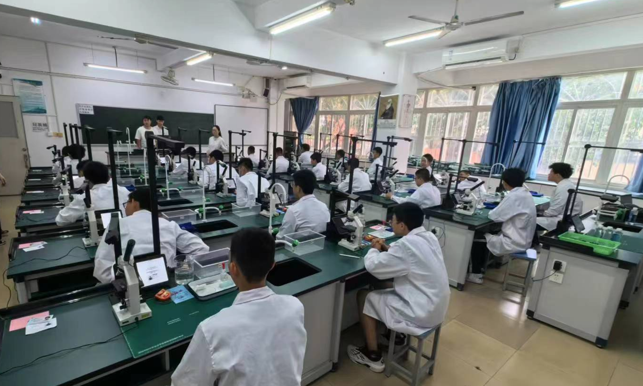 深圳市罗湖区实验学校