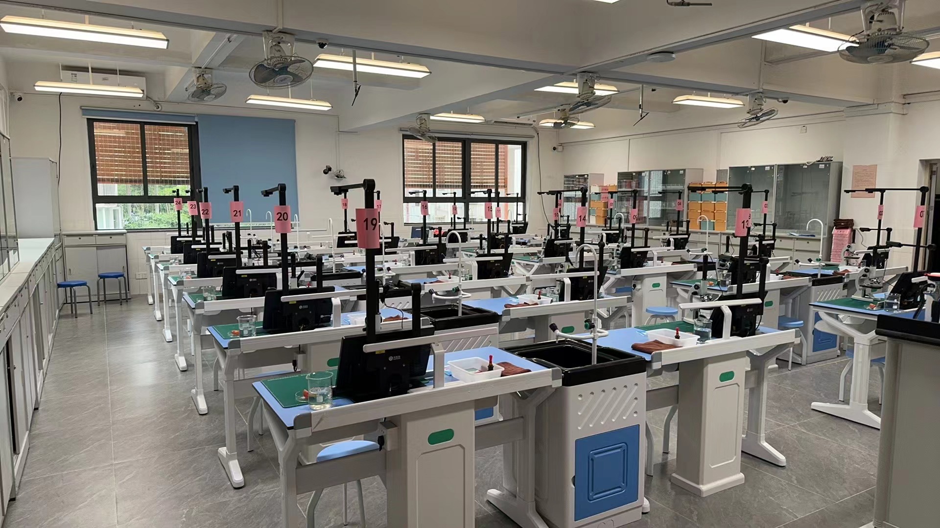 深圳市罗湖区翠园东晓中学